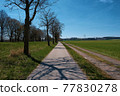 Sunny German bike path 77830278