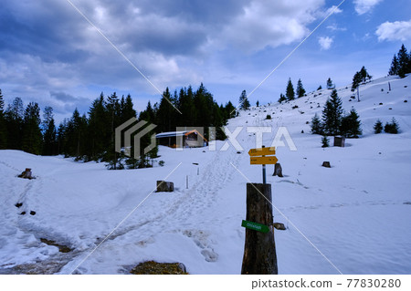 Snow trail Snow trail 77830280