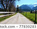 Country road leading to the mountains 77830283