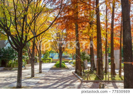 神戶市中央區三宮秋東遊樂園 77830989