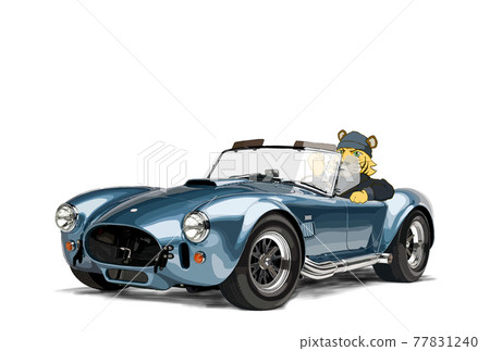 Nanga material Tora 77831240