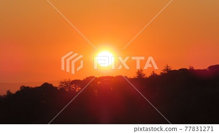 Color of Sunset Color of Sunset 77831271