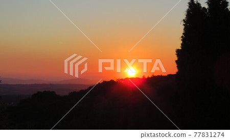 Color of Sunset Color of Sunset 77831274