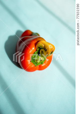 One ugly clumsy orange pepper on turquoise backdrop with trendy striped shadows. 77831590