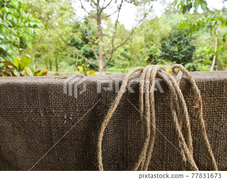 Hemp sack and rope Hemp sack and rope 77831673
