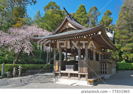 [Kengun Shrine (Amemiya Shrine)] Kengunhonmachi, Higashi-ku, Kumamoto City, Kumamoto Prefecture 77831965