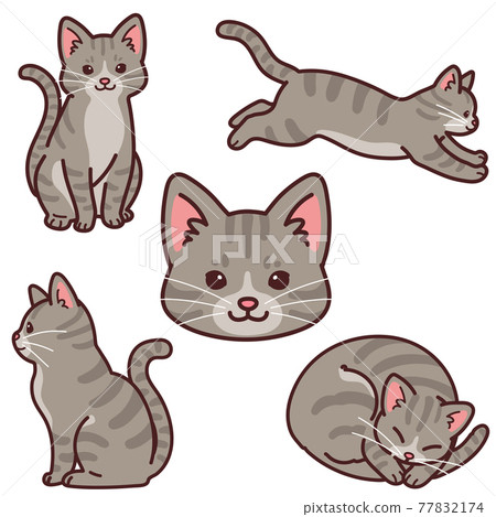 帶有主線的簡單可愛的 Sabatra 貓插圖集 77832174