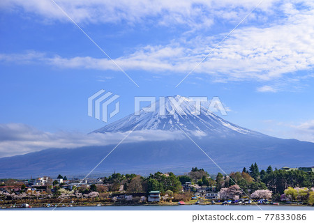(山梨縣)春天的富士山和河口湖,晴空萬里 (山梨縣)春天的富士山和河口湖,晴空萬里 77833086
