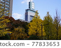 Building that rises from the autumn leaves 77833653