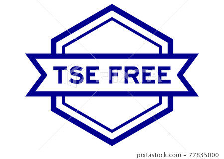 Vintage hexagon label banner with word TSE (Transmissible Spongiform Encephalopathy) free in blue color on white background Vintage hexagon label banner with word TSE (Transmissible Spongiform Encephalopathy) free in blue color on white background 77835000
