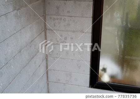 Ugly exterior wall home remodeling with discolored and moldy exterior wall windows 77835736