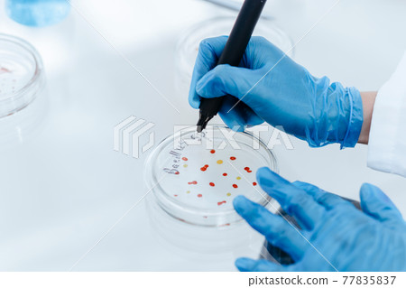 close up. scientist marking a Petri dish with viral bacteria. 77835837