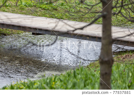 Narrow wooden footbridge over the stream in the park at daytime Narrow wooden footbridge over the stream in the park at daytime 77837881