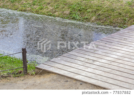 Narrow wooden footbridge over the stream in the park at daytime Narrow wooden footbridge over the stream in the park at daytime 77837882