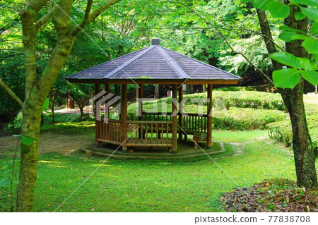 滋賀縣甲賀市慶名野瀑布周邊風景 77838708