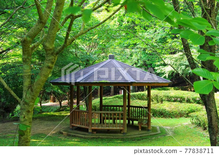 滋賀縣甲賀市慶名野瀑布周邊風景 77838711