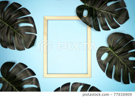 Summer composition with monstera leaves. Tropical leaves, empty photo frame on pastel blue background. Summer composition with monstera leaves. Tropical leaves, empty photo frame on pastel blue background. 77838909