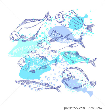 Sea fish. Marine vector background. Doodle design 77839267