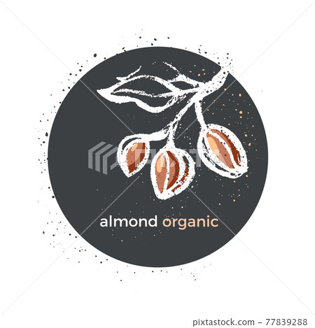 Almond. Vector symbol. Natural nut. Round sign Almond. Vector symbol. Natural nut. Round sign 77839288