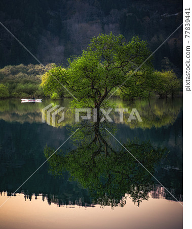 白川大壩湖的絕景 白川大壩湖的絕景 77839441