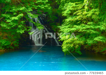 Momotaro Falls Momotaro Falls 77839465