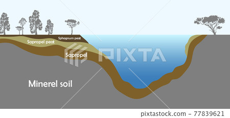Peat vector illustration 77839621
