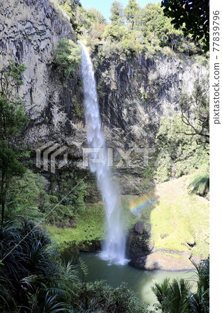 A rainbow over a white bubbling waterfall that runs down like a bridal veil [Hamilton, New Zealand] 77839796