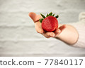 Ripe juicy red beautiful strawberry close-up is an appetizing fresh snack 77840117