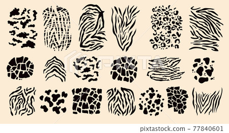 Animal print set 2 77840601