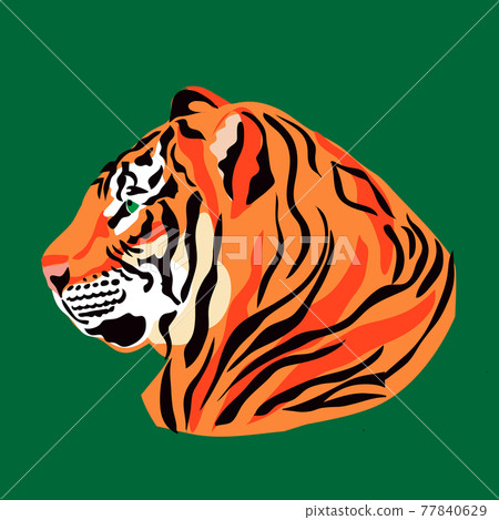 Tiger face 13 77840629