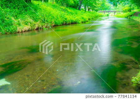 Scenery of Oshino Village in summer [Yamanashi Prefecture] 77841134