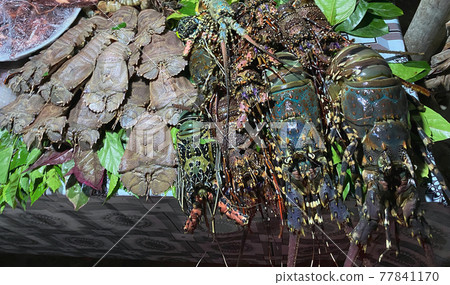 Seafood, including all kinds of lobsters, squid and others, are on the table at a restaurant in a resort town in Africa. Travel concept. Seafood, including all kinds of lobsters, squid and others, are on the table at a restaurant in a resort town in Africa. Travel concept. 77841170