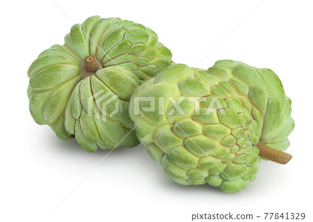 Sugar apple or custard apple isolated on white background with clipping path and full depth of field. Exotic tropical Thai annona or cherimoya fruit 77841329
