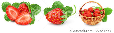 Strawberry and half isolated on white background. Fresh berry with full depth of field. Set or collection Strawberry and half isolated on white background. Fresh berry with full depth of field. Set or collection 77841335