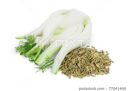 fresh fennel bulb with seed isolated on white background with clipping path and full depth of field fresh fennel bulb with seed isolated on white background with clipping path and full depth of field 77841400