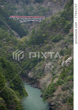 A trip along the Oigawa Railway, Spring Sekisawa Bridge A trip along the Oigawa Railway, Spring Sekisawa Bridge 77841747