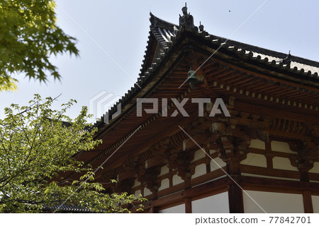 大講堂東治 77842701