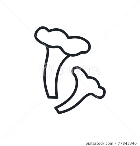 Chanterelle icon. Vector isolated linear icon contour shape outline. Thin line. Modern glyph design. Mushrooms. Food ingredients. Chanterelle icon. Vector isolated linear icon contour shape outline. Thin line. Modern glyph design. Mushrooms. Food ingredients. 77843340