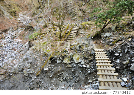丹澤山脈的道路:烏澤通往阿梅山坳的艱難道路 丹澤山脈的道路:烏澤通往阿梅山坳的艱難道路 77843412