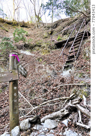 丹澤山路:通往阿美山坳的臨時樓梯的艱難道路 丹澤山路:通往阿美山坳的臨時樓梯的艱難道路 77843413