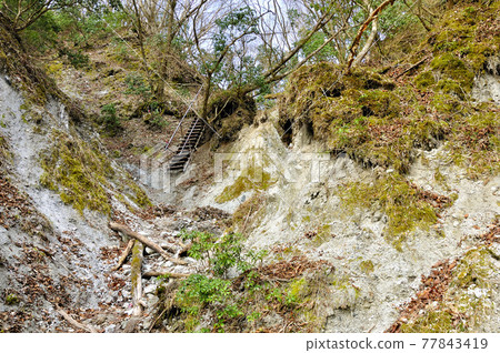 丹澤山路:通往阿美山坳的臨時樓梯的艱難道路 丹澤山路:通往阿美山坳的臨時樓梯的艱難道路 77843419
