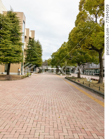 Kagawa University Saiwaicho Campus 77844059