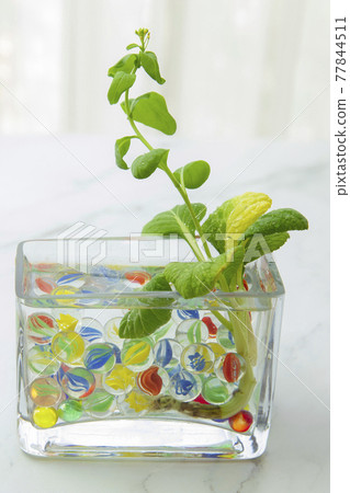 像室內一樣直接生活！ 77844511