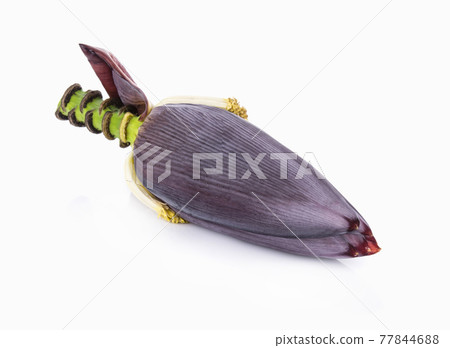 Banana blossom isolated on white background Banana blossom isolated on white background 77844688