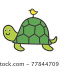  Turtle 77844709