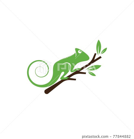 Lizard logo vector 77844882
