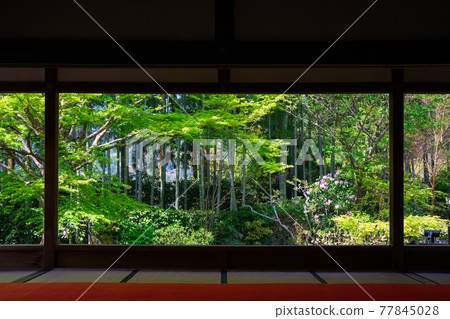 Kyoto Hosen-in Temple 77845028