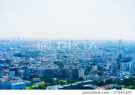 東京風光 77845305