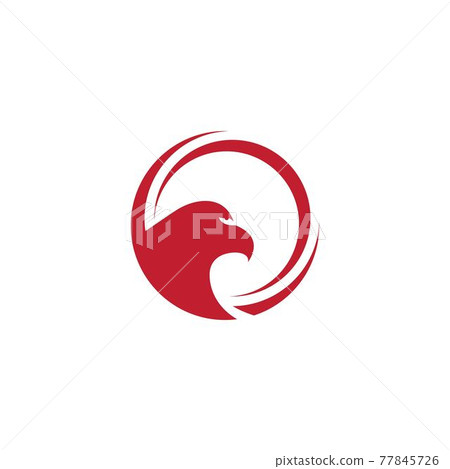 Falcon Eagle Bird Logo Template Falcon Eagle Bird Logo Template 77845726