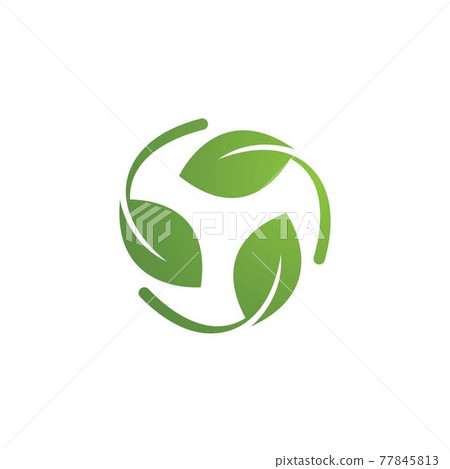 Green leaf logo Green leaf logo 77845813